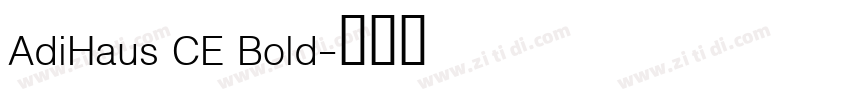 AdiHaus CE Bold字体转换